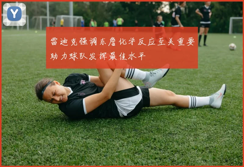 雷迪克强调东詹化学反应至关重要助力球队发挥最佳水平
