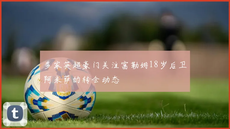 多家英超豪门关注富勒姆18岁后卫阿米萨的转会动态