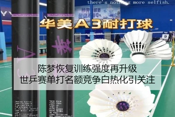 陈梦恢复训练强度再升级 世乒赛单打名额竞争白热化引关注 | hth